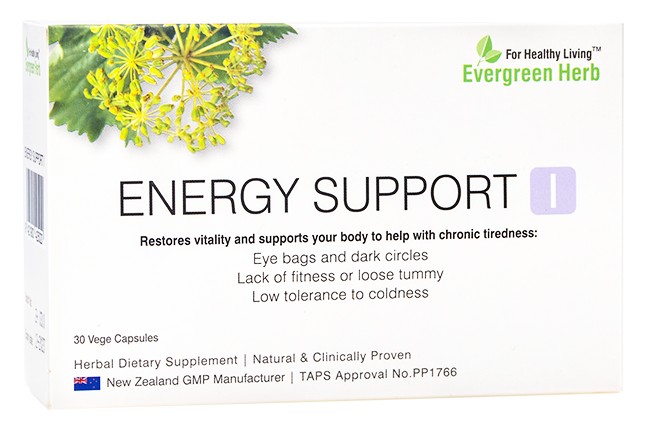 Energy-Support I