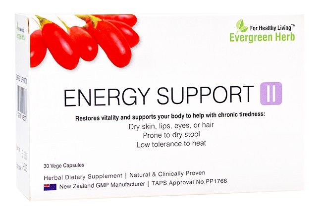 Energy-Support II